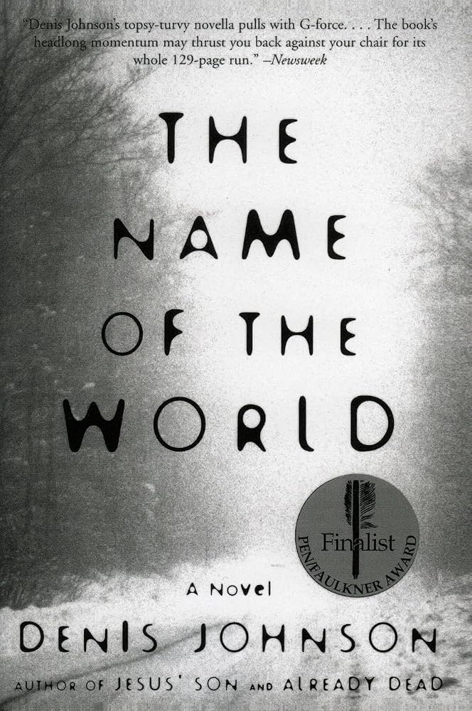The Name of the World: A Darkly Comic Novel About a Professor's Life After Unspeakable Loss cover image