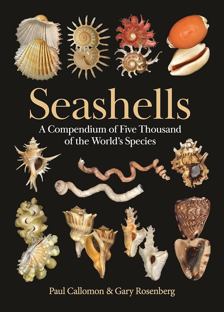Seashells: A Compendium of Five Thousand of the World's Species cover image