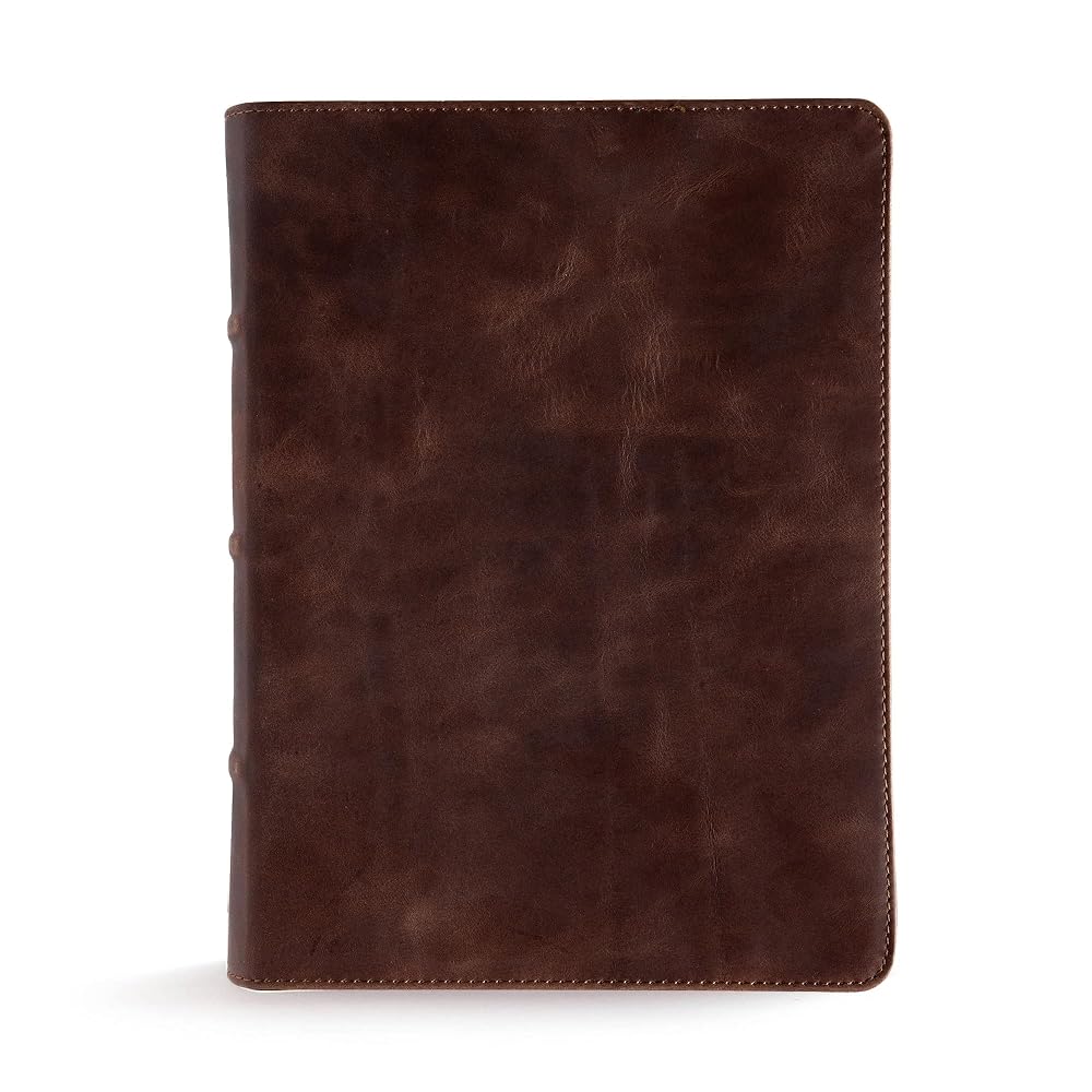 CSB Study Bible, Brown Genuine Leather, Indexed, Red Letter, Study Notes and Commentary, Illustrations, Articles, Word Studies, Outlines, Timelines, Easy-to-Read Bible Serif Type cover image