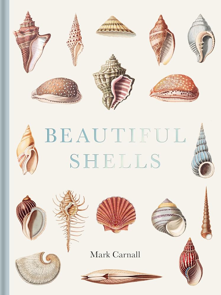Beautiful Shells: George Perry's Conchology cover image