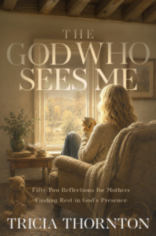 The God Who Sees Me by Tricia Thornton