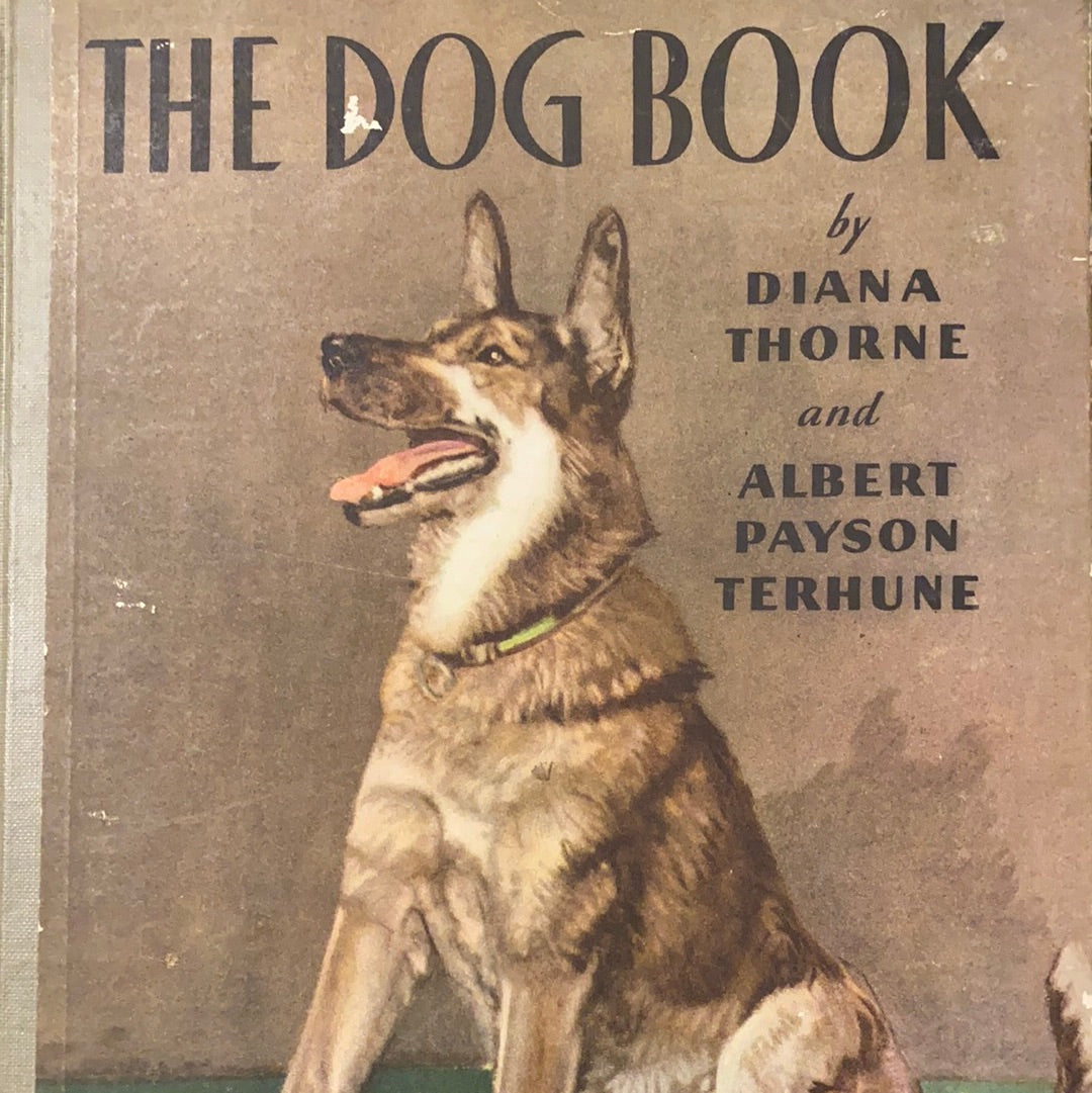 The Dog Book