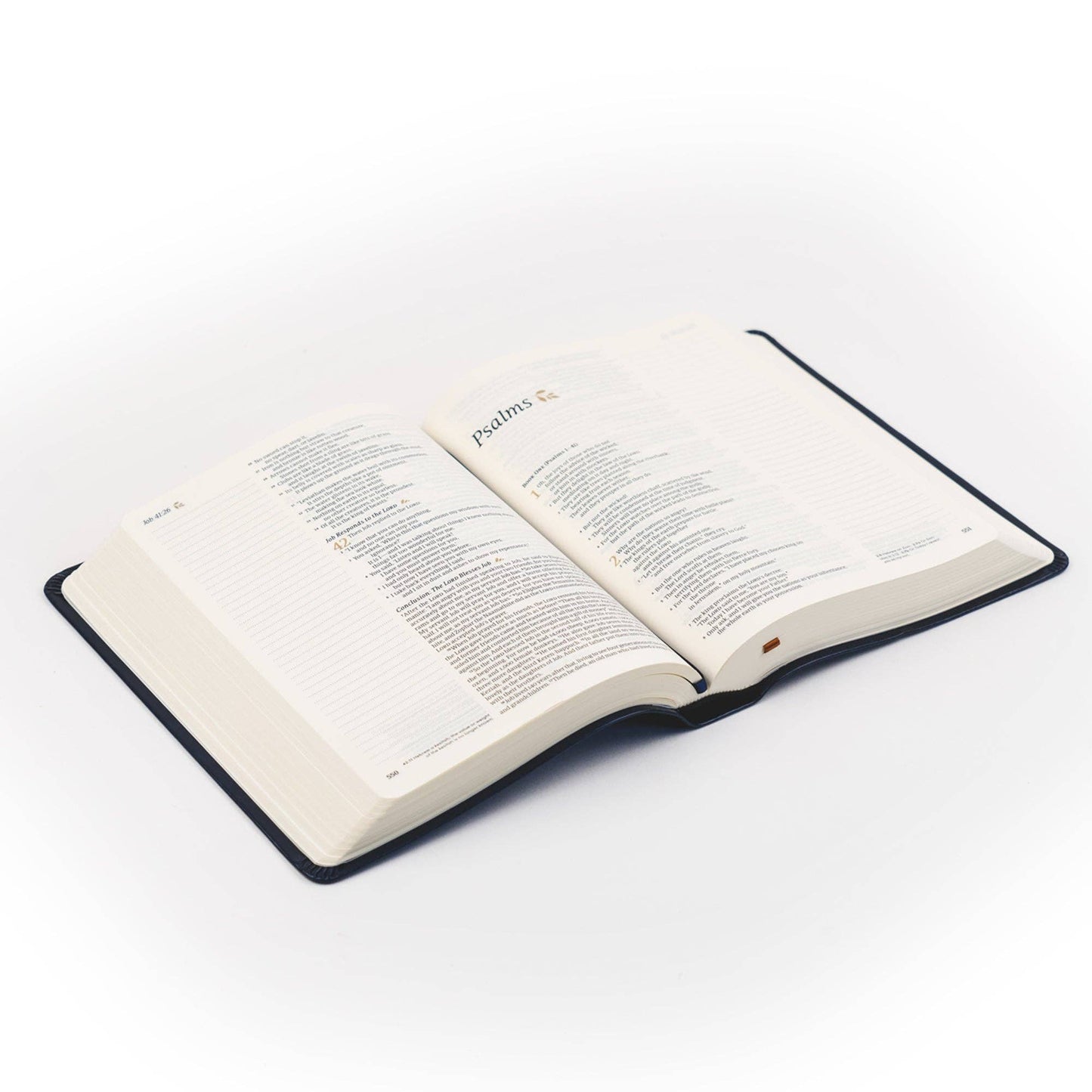 NLT Notetaking Bible: Versailles Theme