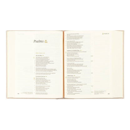 CSB Notetaking Bible: Oxford Theme