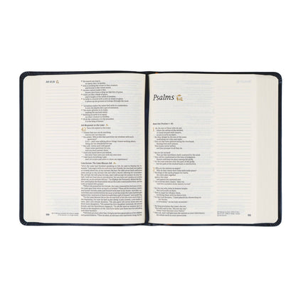NLT Notetaking Bible: Versailles Theme