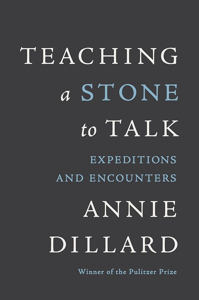Teaching a Stone to Talk: Expeditions and Encounters cover image