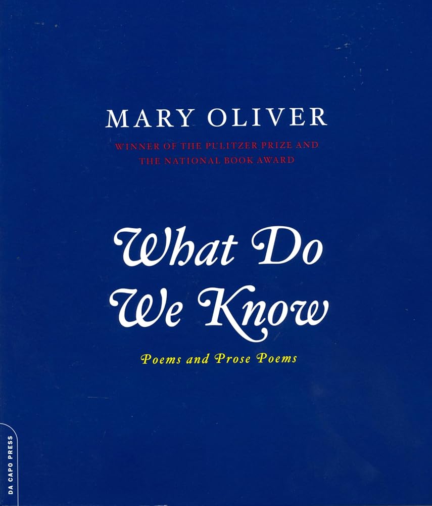 What Do We Know cover image