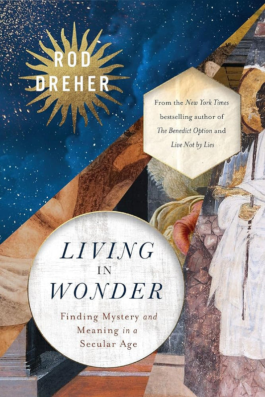 Living in Wonder: Finding Mystery and Meaning in a Secular Age cover image