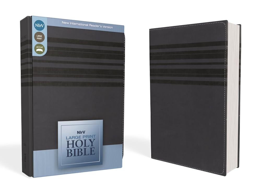 NIrV, Holy Bible, Large Print, Leathersoft, Blue cover image