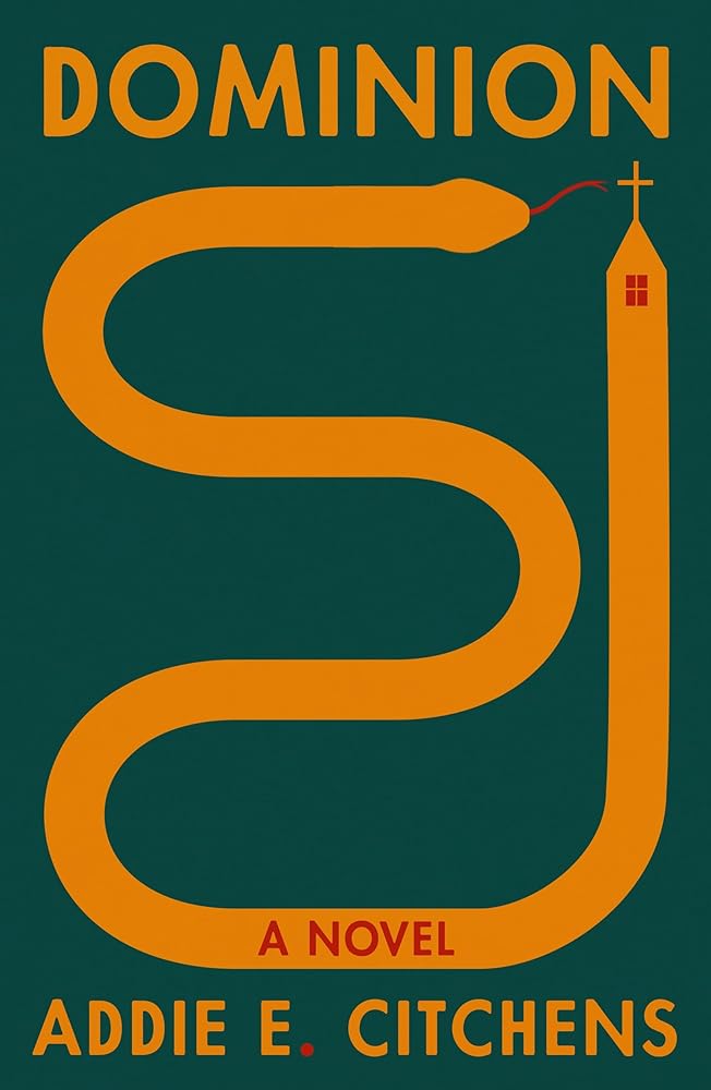 Dominion: A Novel cover image