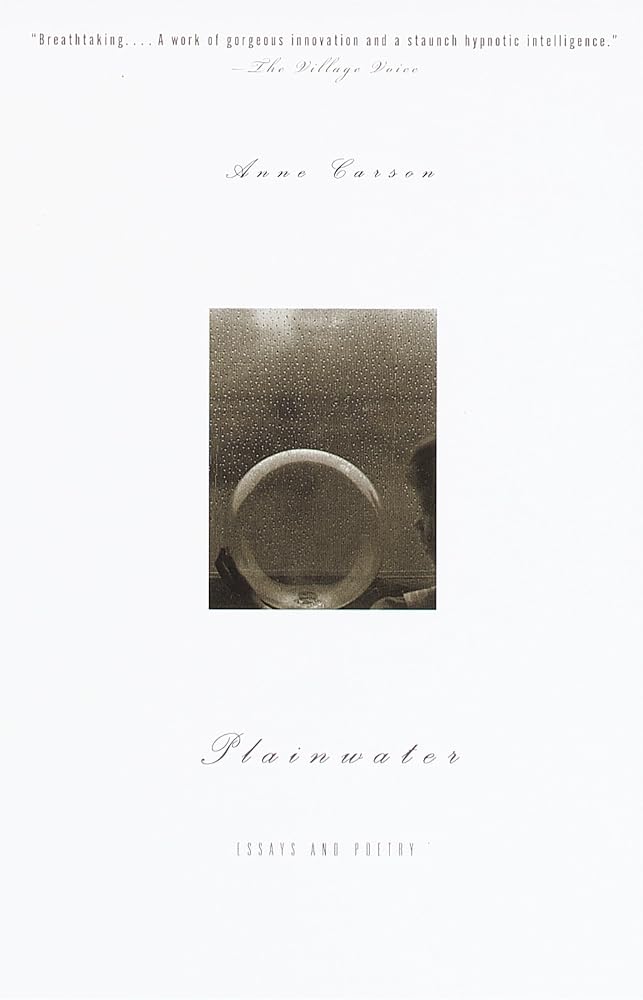 Plainwater: Essays and Poetry (Vintage Contemporaries) cover image