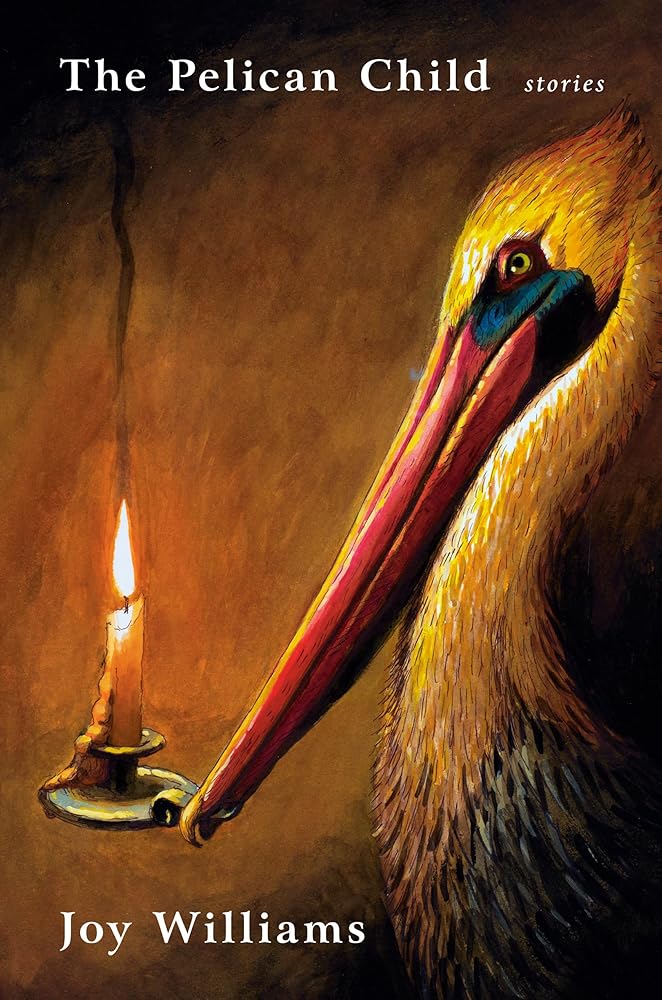 The Pelican Child: Stories cover image