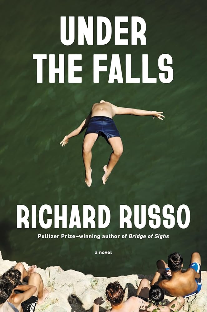 Under the Falls: A Novel cover image