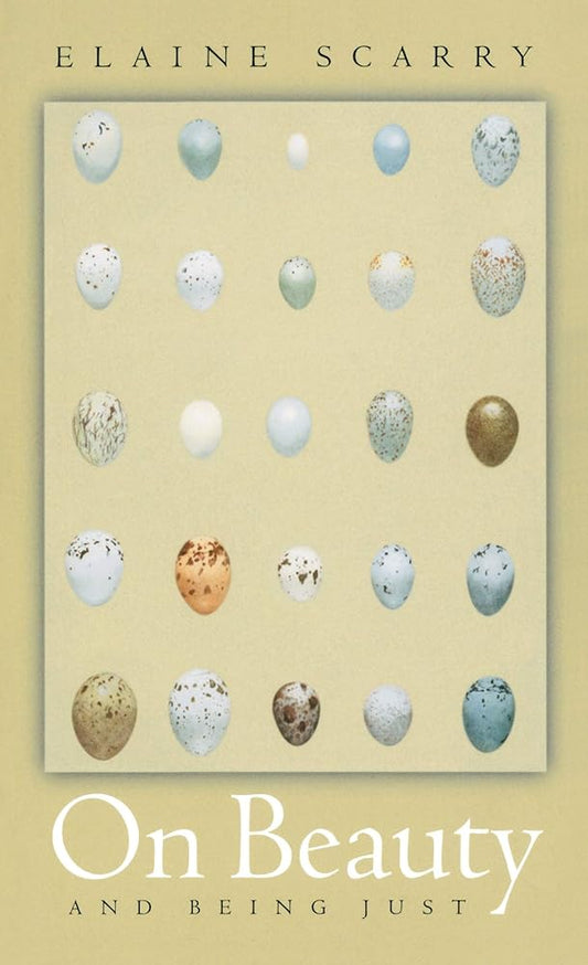 On Beauty and Being Just cover image