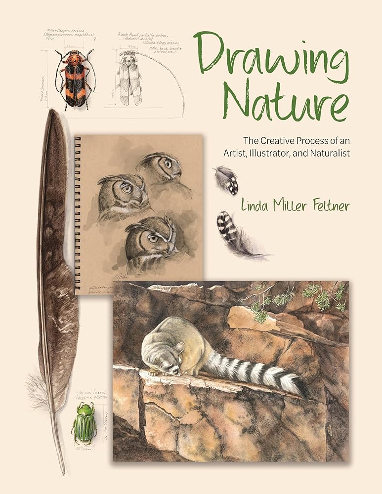 Drawing Nature: The Creative Process of an Artist, Illustrator, and Naturalist cover image