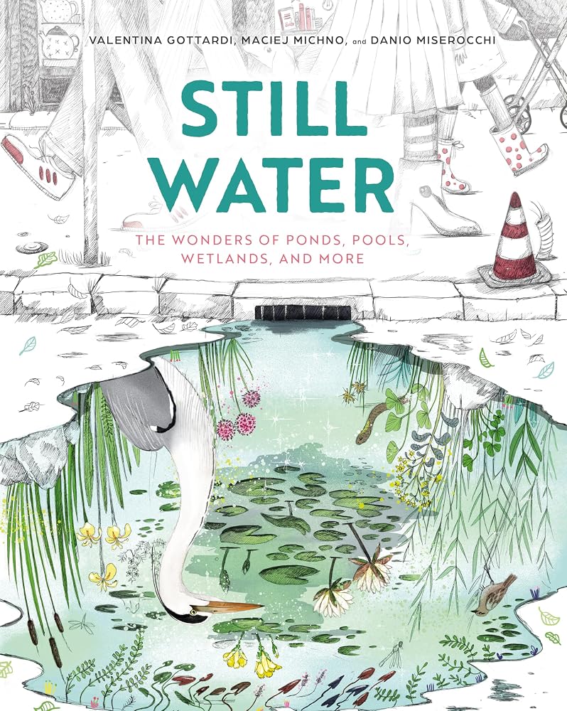Still Water: The Wonders of Ponds, Pools, Wetlands, and More (Spectacular STEAM for Curious Readers (SSCR)) cover image