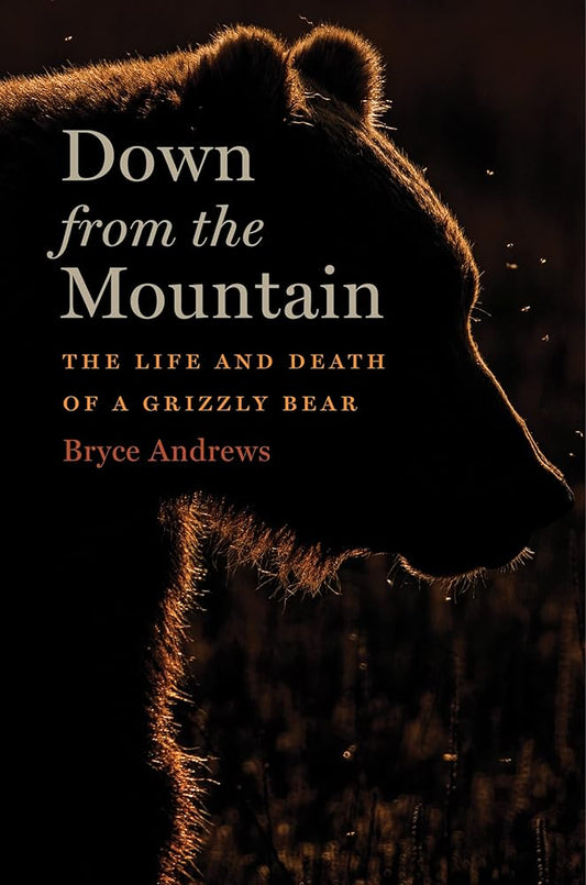 Down From The Mountain: The Life and Death of a Grizzly Bear cover image