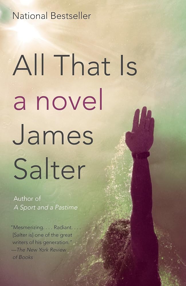 All That Is: A Novel (Vintage International) cover image