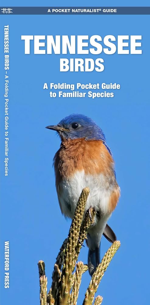 Tennessee Birds: A Folding Pocket Guide to Familiar Species (Wildlife and Nature Identification) cover image