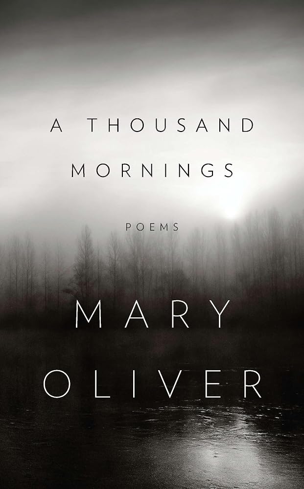 A Thousand Mornings cover image