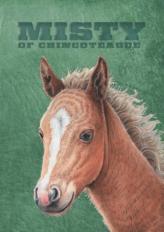 Misty of Chincoteague: Special Edition cover image