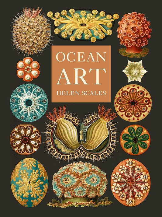 Ocean Art: From the Shore to the Deep cover image