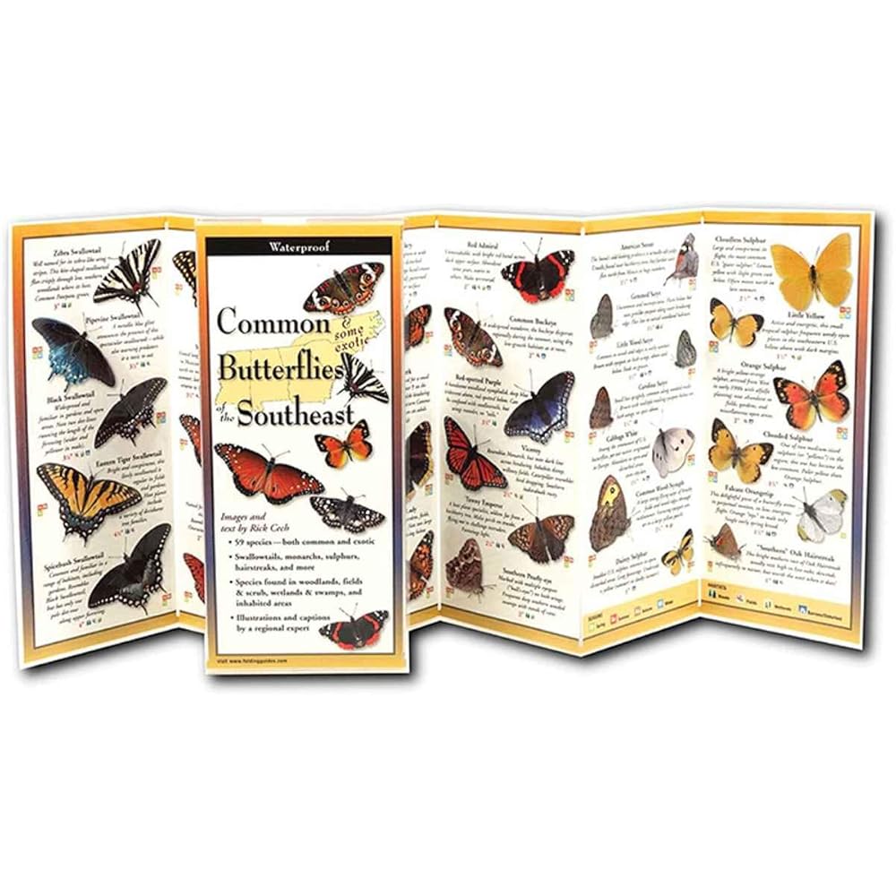 Common Butterflies of the Southeast: Folding Guide (Foldingguides) cover image