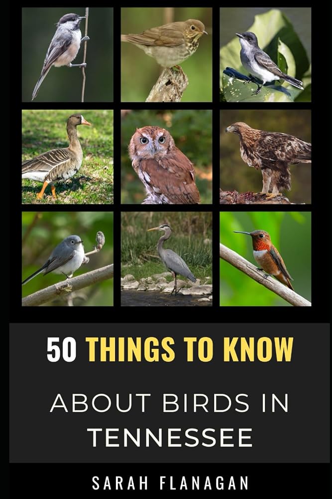 50 Things to Know About Birds in Tennessee: Birding in the Volunteer State (50 Things to Know About Birds & Birdwatching: Birdwatching guides, bird identification tips, and regional bird books) cover image
