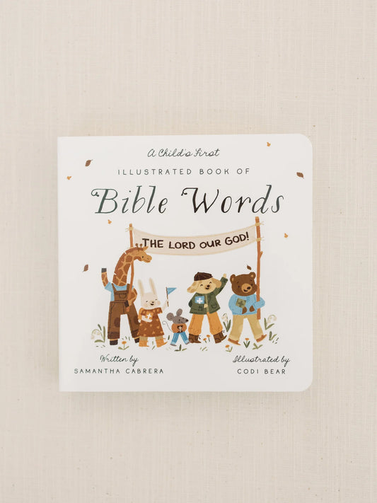 The Illustrated Book of Bible Words