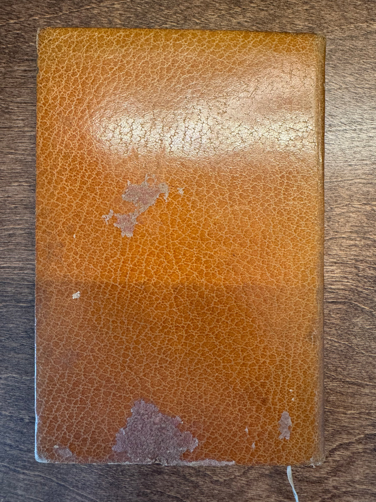 Now We Are Six by A. A. Milne (1927, Publisher's Deluxe Leather Binding)