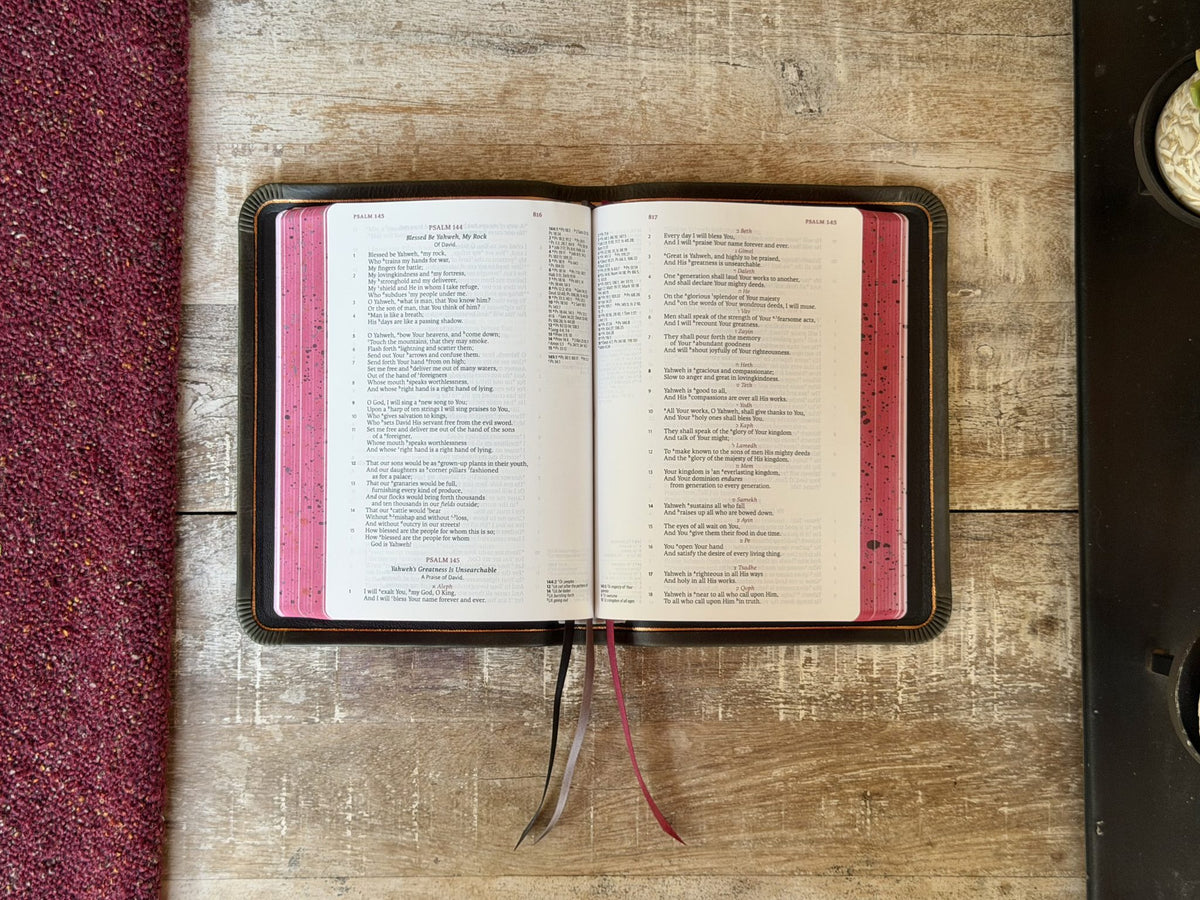 Steel Grey Waxy LSB Handy Size Inside Column Reference by Rock Wall Bibles, open to the text