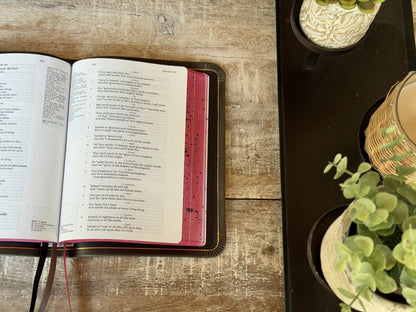 Steel Grey Waxy LSB Handy Size Inside Column Reference by Rock Wall Bibles, open to the text, side view