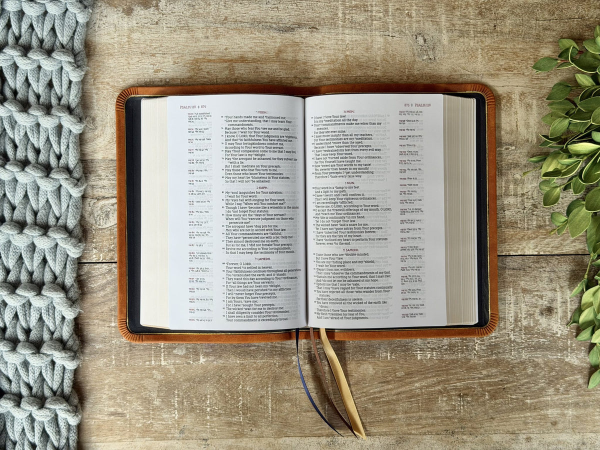 Olmo Pueblo NASB 1995 Single Column Reference Bible by Rock Wall Bibles, open to the text
