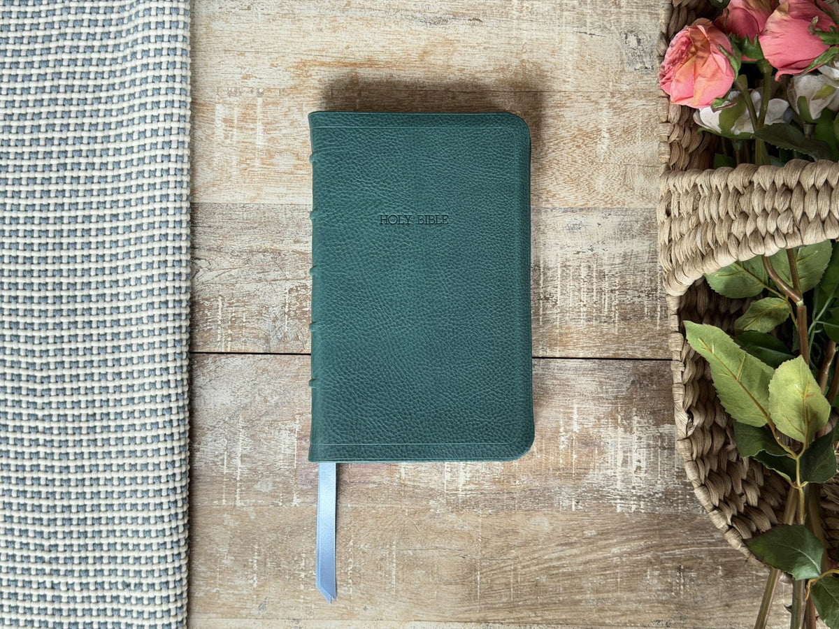 Turquoise Minerva Box NIV Thinline Reference (Premier Collection) by Rock Wall Bibles, front cover