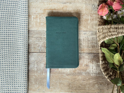 Turquoise Minerva Box NIV Thinline Reference (Premier Collection) by Rock Wall Bibles, front cover