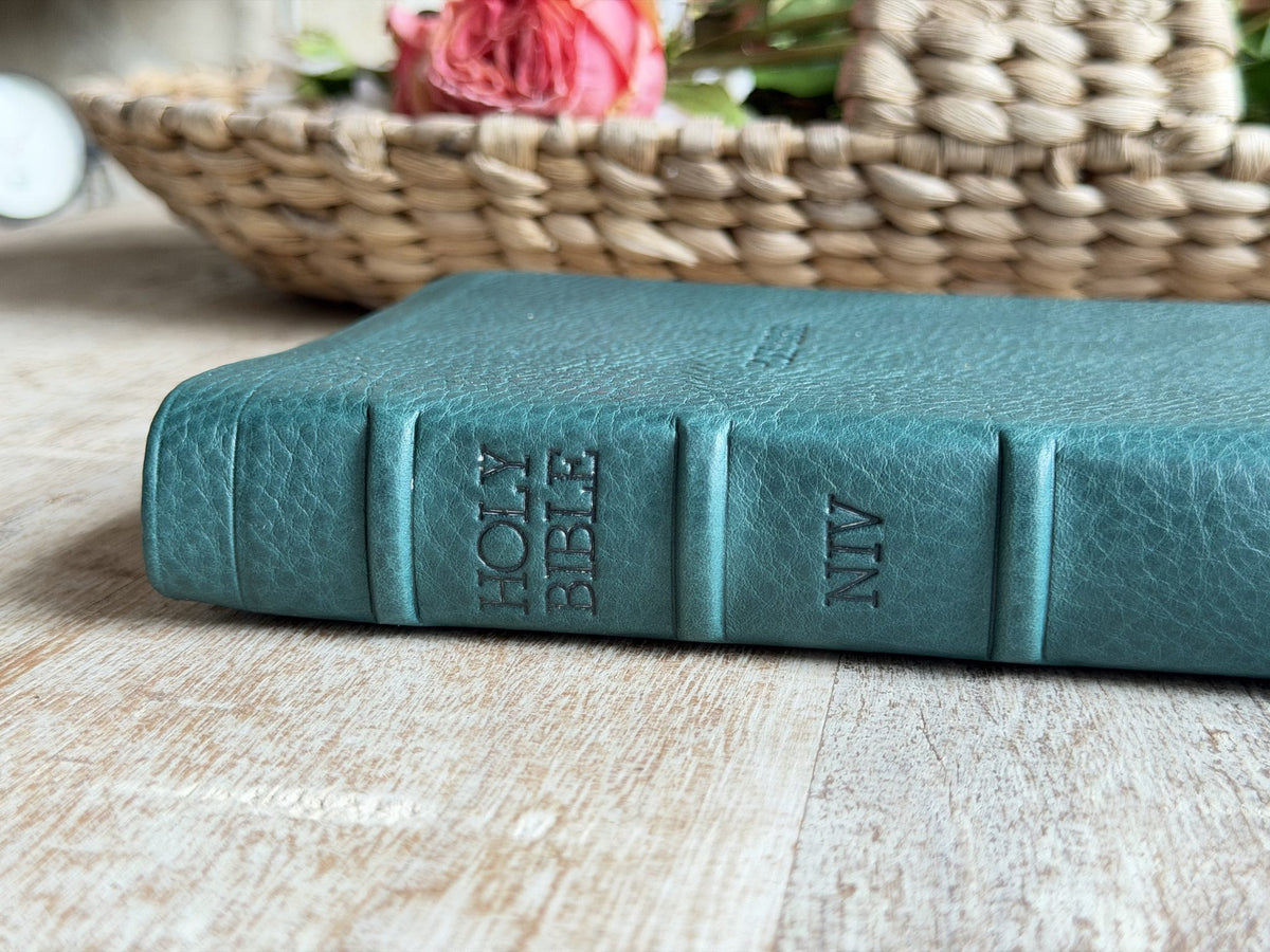 Turquoise Minerva Box NIV Thinline Reference (Premier Collection) by Rock Wall Bibles, spine