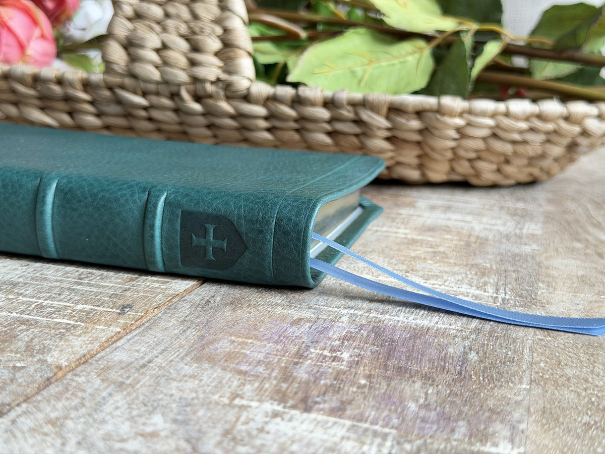 Turquoise Minerva Box NIV Thinline Reference (Premier Collection) by Rock Wall Bibles, spine and ribbon markers