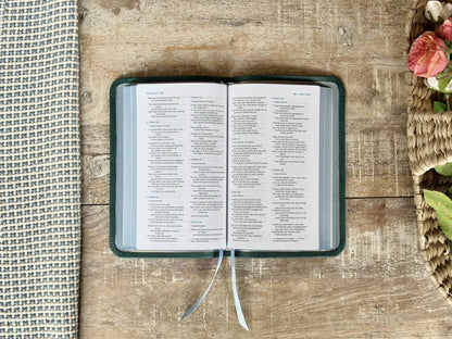 Turquoise Minerva Box NIV Thinline Reference (Premier Collection) by Rock Wall Bibles, open to the text
