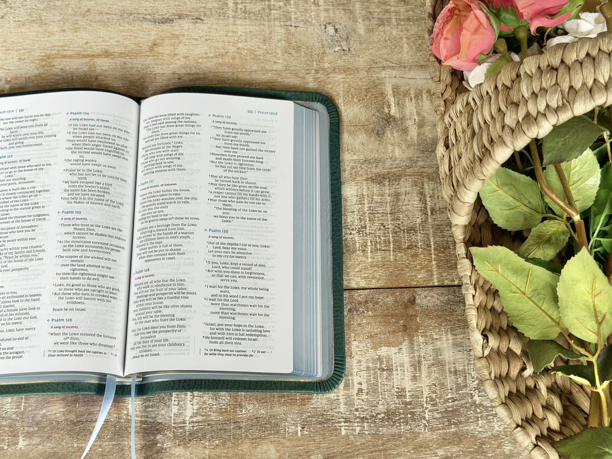 Turquoise Minerva Box NIV Thinline Reference (Premier Collection) by Rock Wall Bibles, open to the text, side view