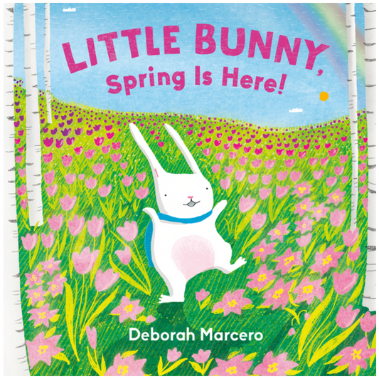 Little Bunny, Spring Is Here! (Little Bunny)
