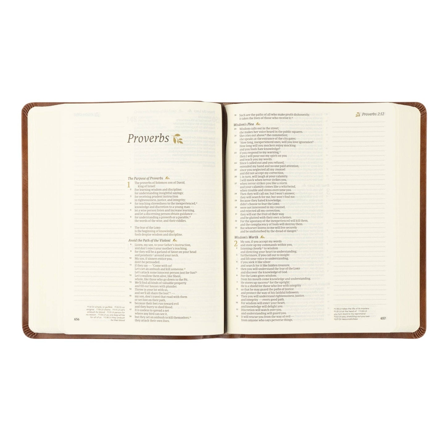 CSB Notetaking Bible: Edinburgh Theme