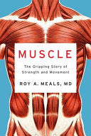 Muscle
