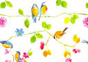Watercolor Birds Note Cards [With 15 Envelopes]
